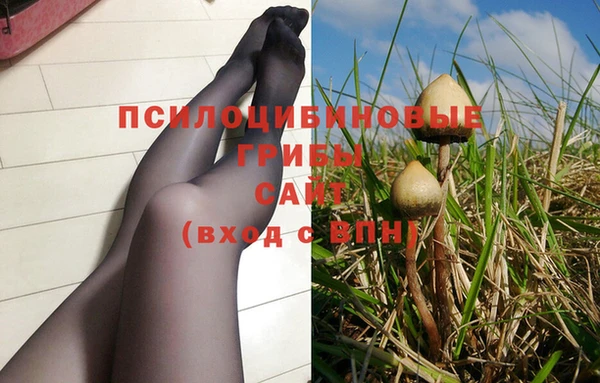 спиды Вязьма
