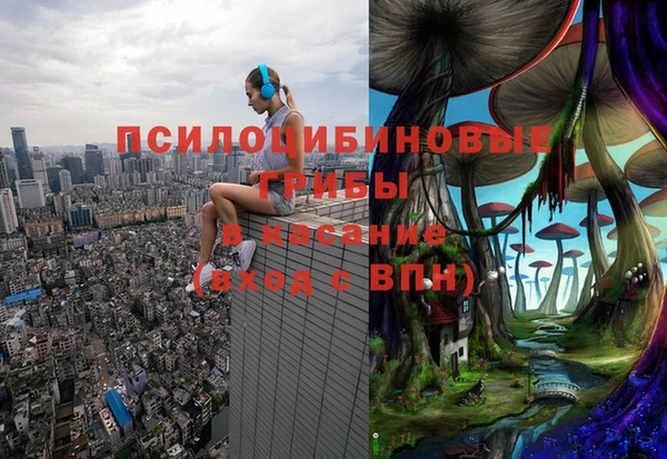дмт Вязники