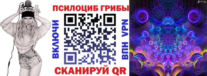 OMG рабочий сайт Черногорск Псилоцибиновые грибы ЛСД